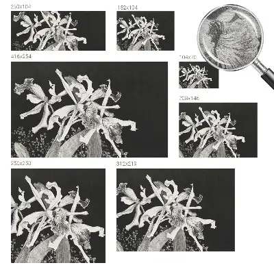 Fototapete fürs Kinderzimmer mit einer Orchideenillustration