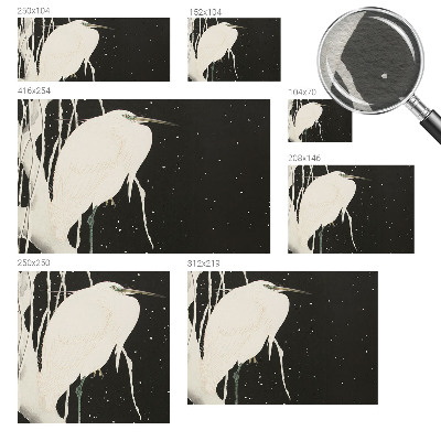Motivtapete aus Vlies mit Wintervogel-Motiv