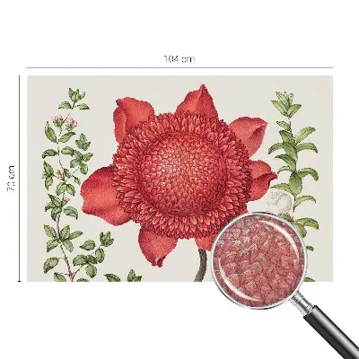 Vlies-Fototapete fürs Kinderzimmer mit floralem Motiv