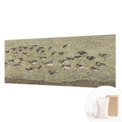 Moderne Vlies-Fototapete mit dem Motiv „Vogelfrieden“