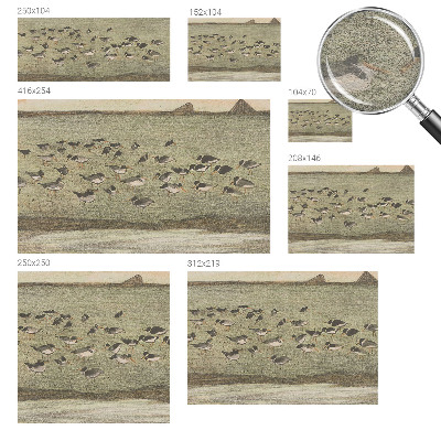 Moderne Vlies-Fototapete mit dem Motiv „Vogelfrieden“