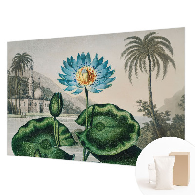 Dekorative Wand-Fototapete mit Motiv einer exotischen Landschaft