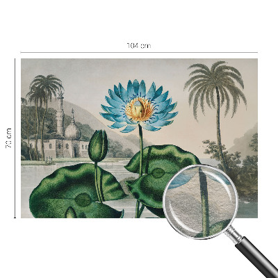 Dekorative Wand-Fototapete mit Motiv einer exotischen Landschaft