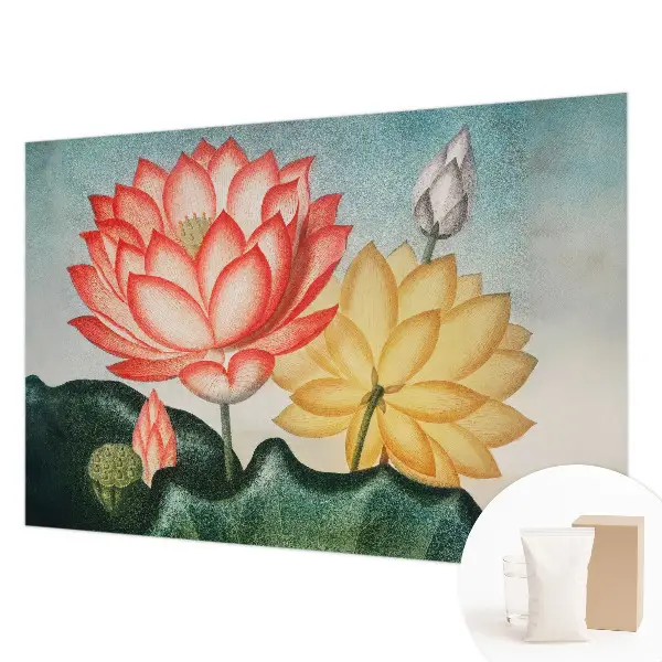 Fototapete mit Motiv von Lotusblumen