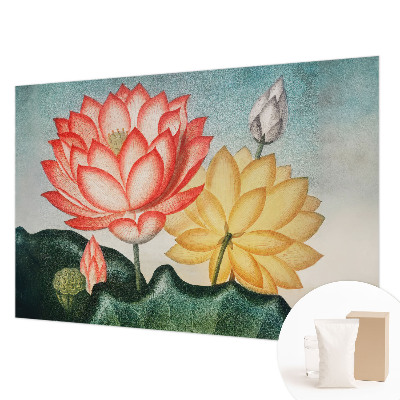 Fototapete mit Motiv von Lotusblumen