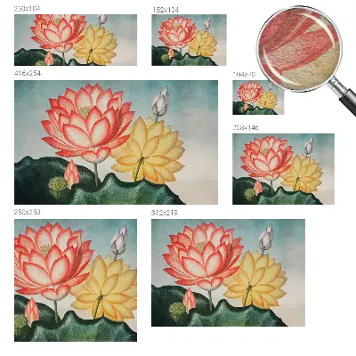 Fototapete mit Motiv von Lotusblumen