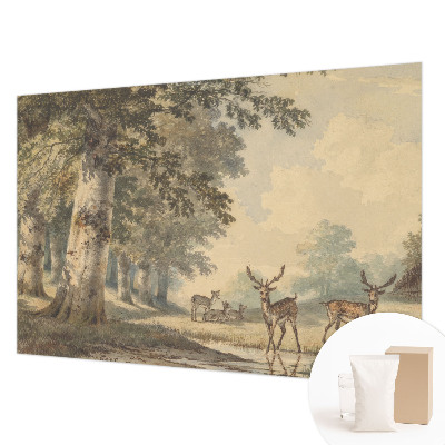 Fototapete fürs Schlafzimmer Waldfrieden