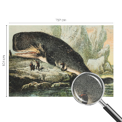 Vlies-Fototapete fürs Wohnzimmer Meeresgigantismus