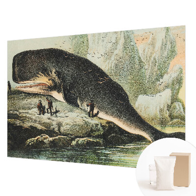 Vlies-Fototapete fürs Wohnzimmer Meeresgigantismus