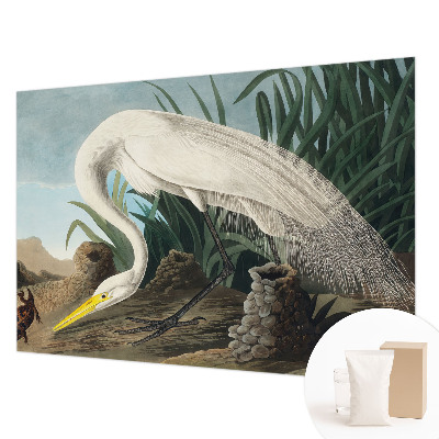 Bedruckte Vlies-Fototapete Majestätischer Reiher