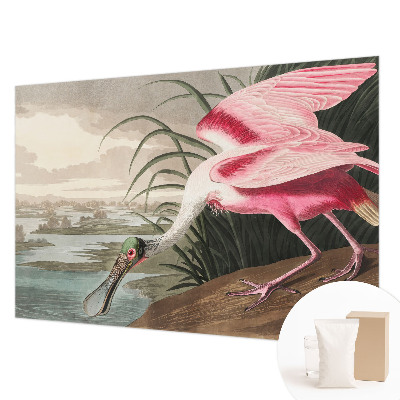 Moderne Vlies-Fototapete mit einem exotischen Vogel als Motiv