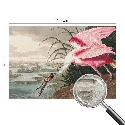 Moderne Vlies-Fototapete mit einem exotischen Vogel als Motiv