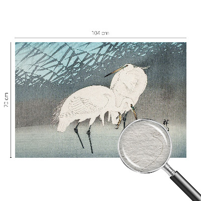 Wand-Fototapete Zarte Vögel