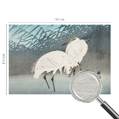 Wand-Fototapete mit zartem Motiv von Vögeln