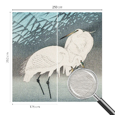 Wand-Fototapete Zarte Vögel