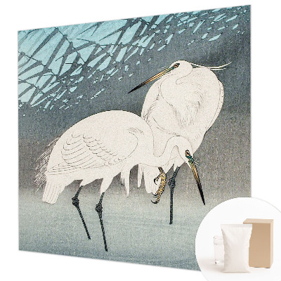 Wand-Fototapete Zarte Vögel