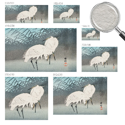 Wand-Fototapete Zarte Vögel