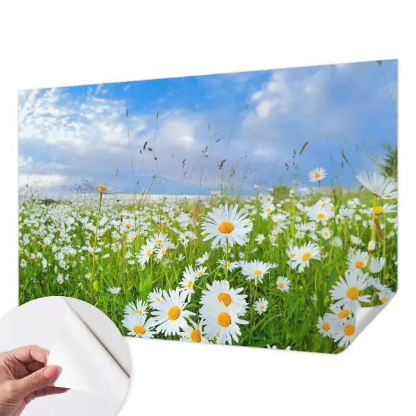 Selbstklebende Fototapete für die Wand mit Motiv einer Sommerwiese