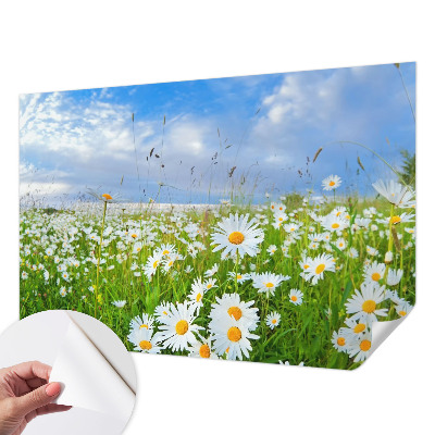 Selbstklebende Fototapete für die Wand mit Motiv einer Sommerwiese