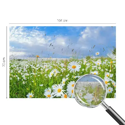 Selbstklebende Fototapete für die Wand mit Motiv einer Sommerwiese