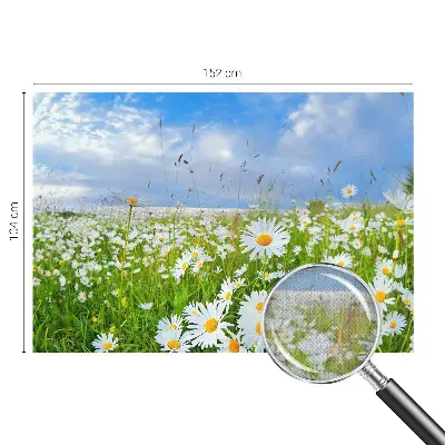 Selbstklebende Fototapete für die Wand mit Motiv einer Sommerwiese