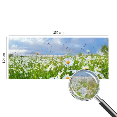 Selbstklebende Fototapete für die Wand mit Motiv einer Sommerwiese