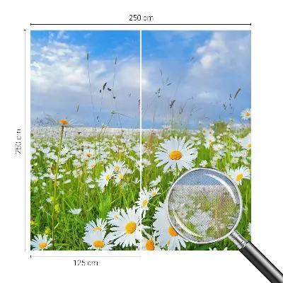 Selbstklebende Fototapete für die Wand mit Motiv einer Sommerwiese