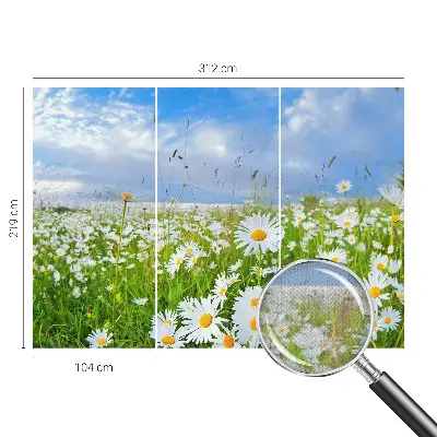 Selbstklebende Fototapete für die Wand mit Motiv einer Sommerwiese