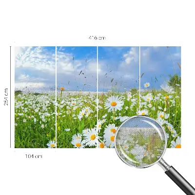 Selbstklebende Fototapete für die Wand mit Motiv einer Sommerwiese