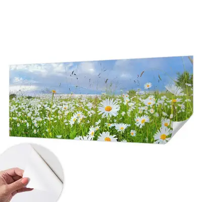 Selbstklebende Fototapete für die Wand mit Motiv einer Sommerwiese