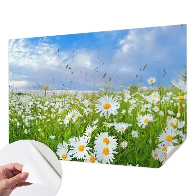 Selbstklebende Fototapete für die Wand mit Motiv einer Sommerwiese