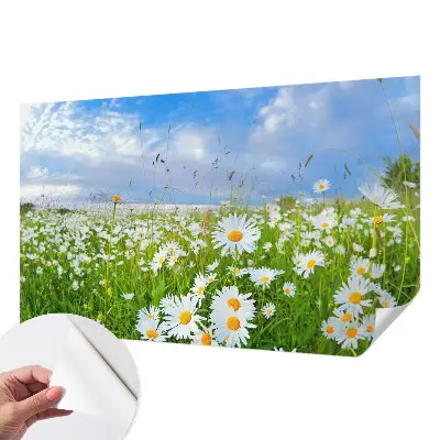 Selbstklebende Fototapete für die Wand mit Motiv einer Sommerwiese