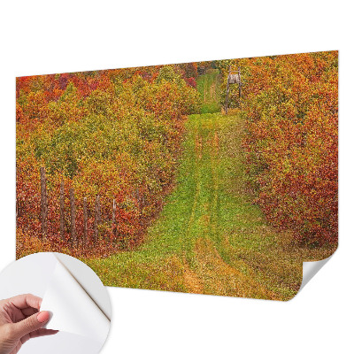 66D-Fototapete mit herbstlichen Farben