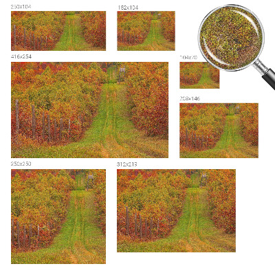 66D-Fototapete mit herbstlichen Farben