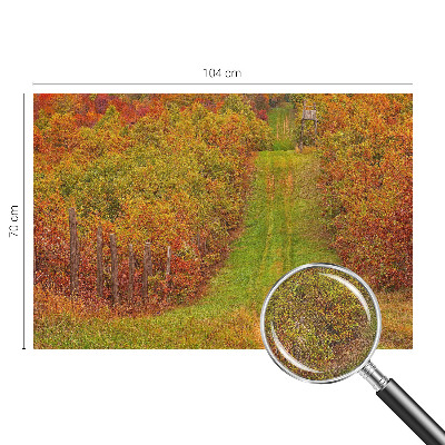 66D-Fototapete mit herbstlichen Farben