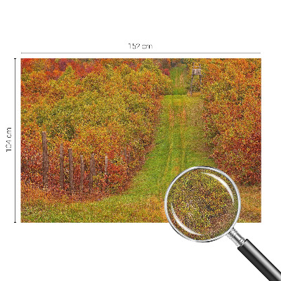 66D-Fototapete mit herbstlichen Farben