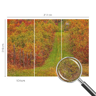 66D-Fototapete mit herbstlichen Farben