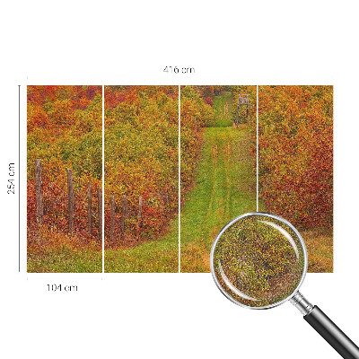 66D-Fototapete mit herbstlichen Farben