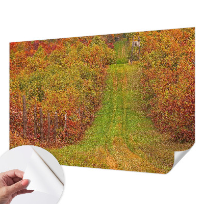 66D-Fototapete mit herbstlichen Farben