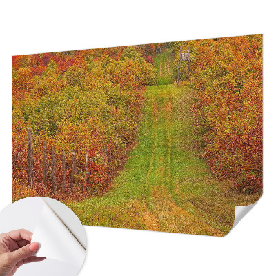 66D-Fototapete mit herbstlichen Farben