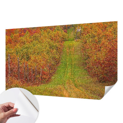 66D-Fototapete mit herbstlichen Farben