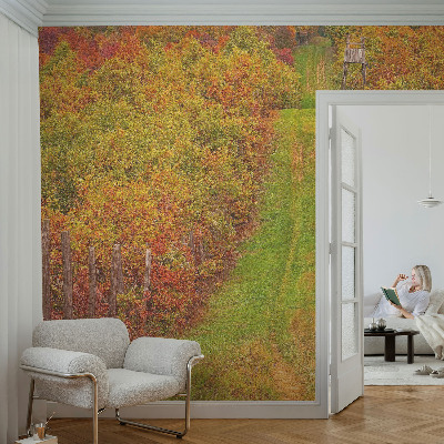 66D-Fototapete mit herbstlichen Farben