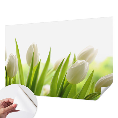 3D-Fototapete mit Motiv weißer Tulpen