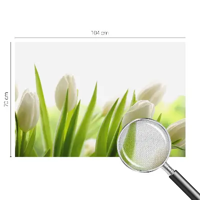3D-Fototapete mit Motiv weißer Tulpen