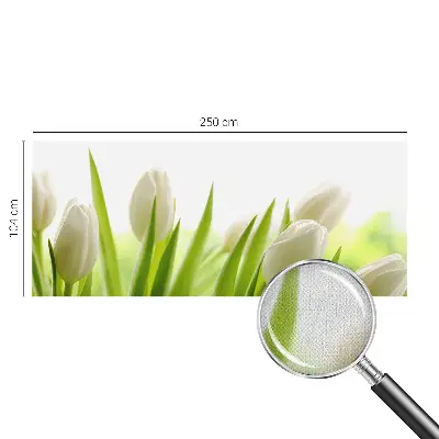 3D-Fototapete mit Motiv weißer Tulpen