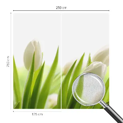3D-Fototapete mit Motiv weißer Tulpen
