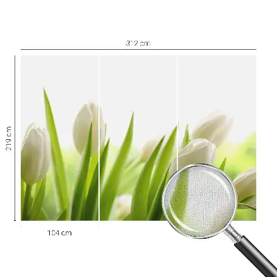 3D-Fototapete mit Motiv weißer Tulpen
