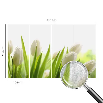 3D-Fototapete mit Motiv weißer Tulpen