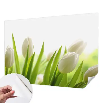 3D-Fototapete mit Motiv weißer Tulpen