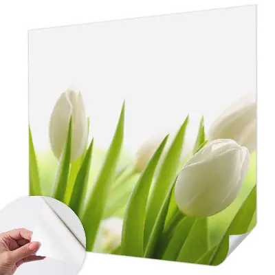 3D-Fototapete mit Motiv weißer Tulpen